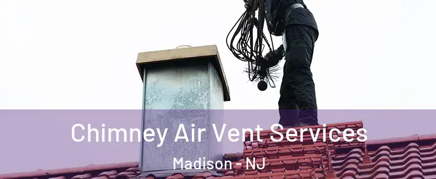  Chimney Air Vent Services Madison - NJ