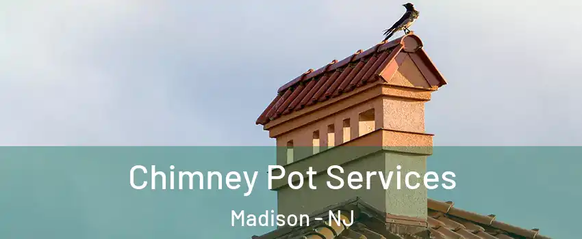  Chimney Pot Services Madison - NJ