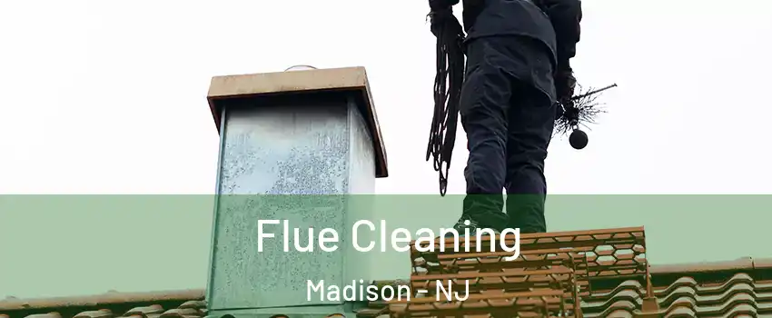  Flue Cleaning Madison - NJ