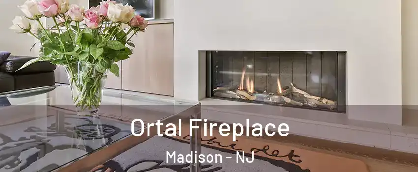  Ortal Fireplace Madison - NJ