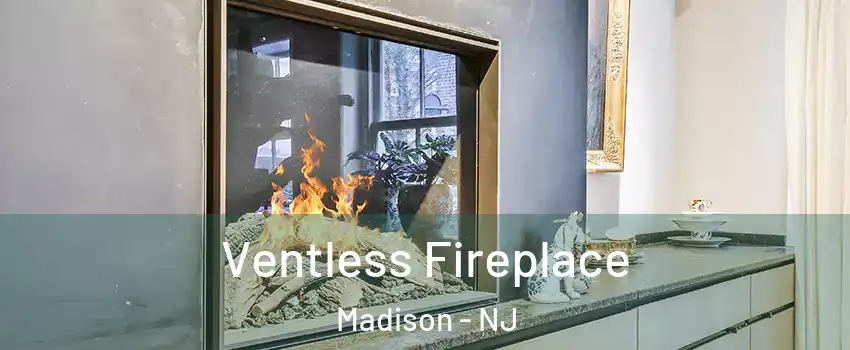 Ventless Fireplace Madison - NJ